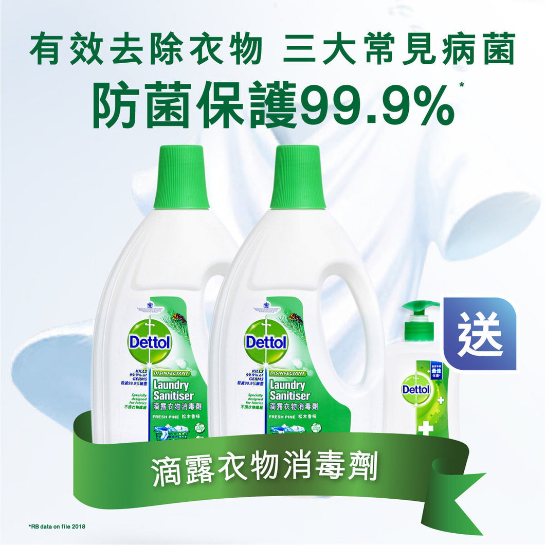 Dettol Laundry Sanitizer 1.2L Twin Pack (Pine) + Anti-Bacterial Hand Wash Pine 250g